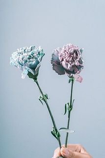色付きには個体差がございます。