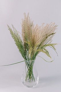 使用花器：mazzo（クリア）