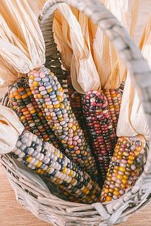 カゴに入れても可愛い🌽（かごはご用意ください）