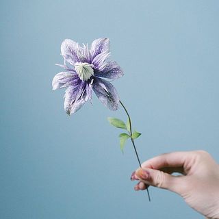 紫色のグラデーションが美しい🧚