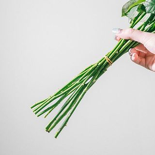 スパイラルに組んであるのでそのまま飾れます。