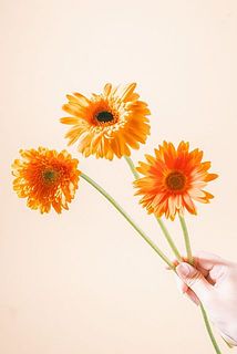 オレンジ色のグラデーションが可愛い💞