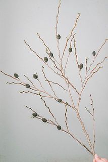 枝ぶりや実つきには個体差があります。