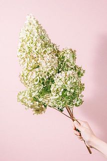 稀に超特大に出会えるかも！