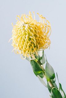 花火みたい✨