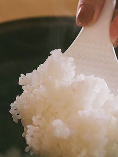炊き立ては格別！つやつや、甘みが強くおかわりが止まりません🍚