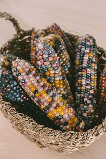 カゴに入れても可愛い🌽（かごはご用意ください）