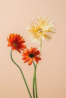 濃淡オレンジがかわいい🍊🧡