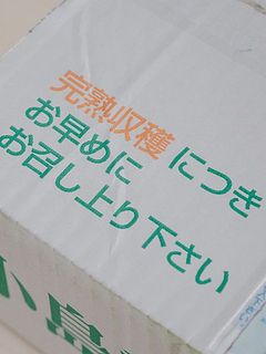 完熟収穫です🍐クール便でお届けします。