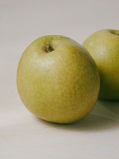 「甘太（かんた）」