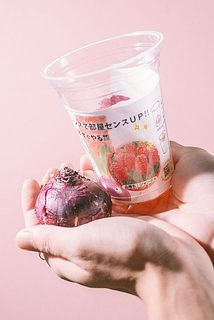 お届け品種例