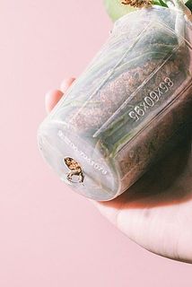 根っこが出ている子も！植え替えてあげよう！