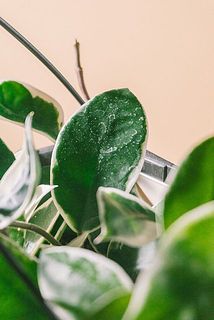 カルキ跡（水垢）ある場合がございます。気になる方は優しく拭き取ってくささい。