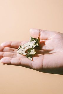 ドライでお届けするため、葉が落ちやすいです。お取り扱いにはご注意ください。