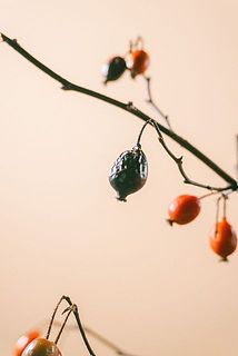 一部、実が黒や茶色に変色している場合がございます。気になる方はお取りください。