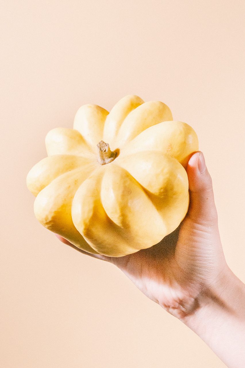 レアかぼちゃMIX（3個）