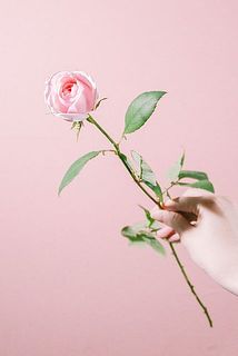「MADOKA」ふんわりと香ります