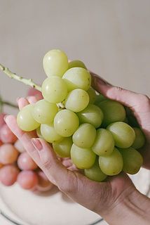 「シャインマスカット」食べごろで収穫しているため、実の色が黄色っぽいです。これが美味しい証拠。