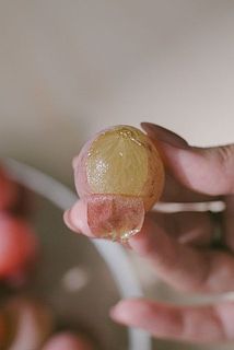 タネ無しの品種でも、稀に小さい種があることも。