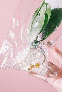 アクアビーズ入り。お水を加えると、そのままでも楽しめます。