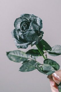 一部染めのお花が入ります。