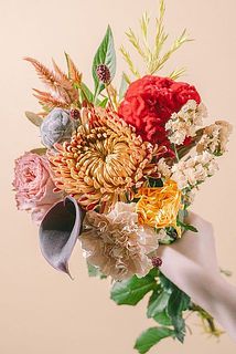 お届け例（内容は毎回異なります）