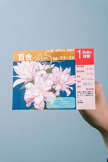 お届け例