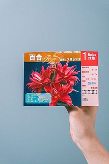 お届け例