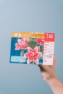 お届け例
