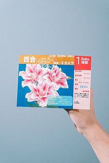 お届け例