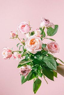 乙女心くすぐるキュートな組み合わせ❤️