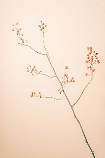 形、枝ぶりには個体差があります。
