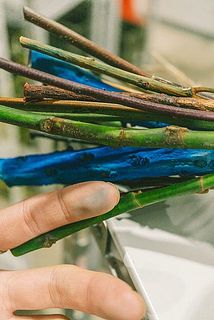 染色されている花材は、色が移る場合がございます。