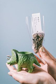 割り箸などで簡単に植え替えられます