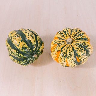 色や模様に個体差があります。