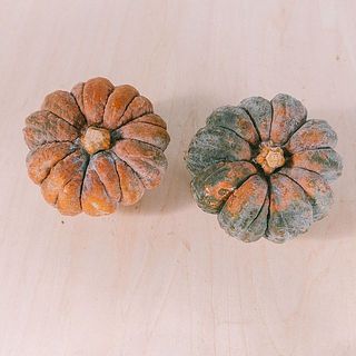 ジョンソンも色合いの個体差が大きい品種です。青緑色のものもありますが品質に問題はありません。