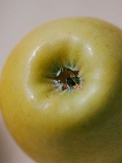 シナノゴールドはお尻に割れ目が入り、これが完熟の印。割れが大きくなるほど甘酸っぱくジューシーなりんご！