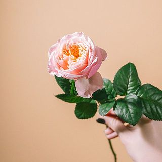 「ノッティングヒル」ピンクからオレンジのグラデーションがかわいい🎀