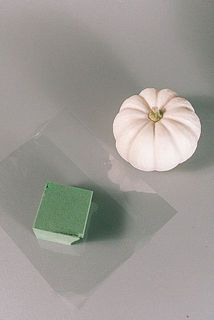 ホワイトかぼちゃと給水スポンジ、お花をお届けします。