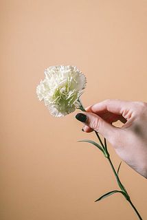 花弁も少なく花のサイズもこぢんまり。冬の寒さに当たると品質が変わってゆくのです。