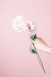 「アンジェリカ」　ほんのりピンク🩰