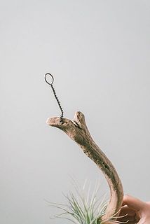 ひっかけるワイヤーがついているので吊るしてお楽しみいただけます🌲