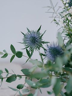 エリンジウムのトゲトゲがいいアクセントに🦔