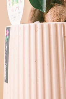 ポットが横れている場合がございます。優しく拭き取ってください。