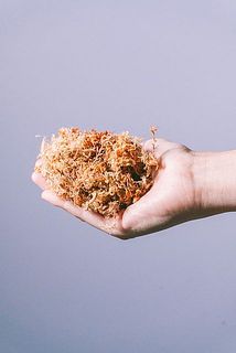 付属の水苔には水分を含ませてから使用してください。