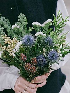 お届けイメージ2