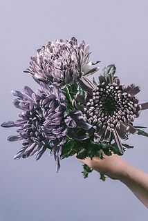 品種のバランスはおまかせになります。写真と少し異なる可能性もございます。