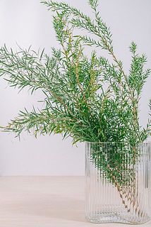 使用花器：ウェーブ　※花器は付属しません