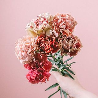 おしゃれな複色のカーネーションをセレクト✨