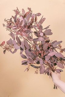 枝ぶり、葉つきには個体差があります。